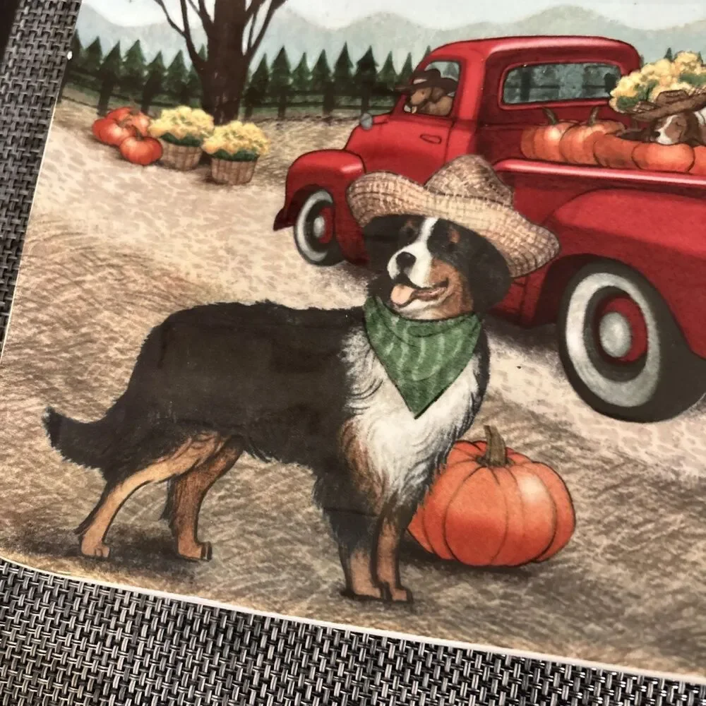 Pier 1 Imports Ironstone 14